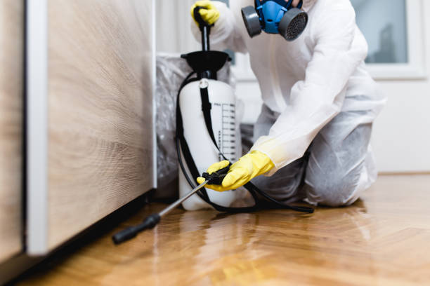 Best Emergency Pest Control  in Pquemine, LA