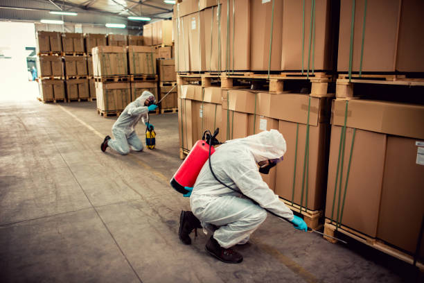 Best Pest Control for Homes  in Pquemine, LA