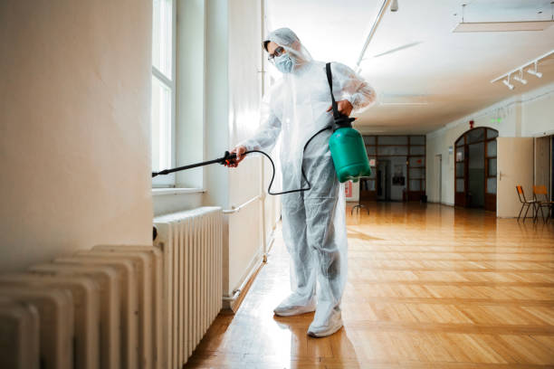 Best Affordable Pest Control Services  in Pquemine, LA