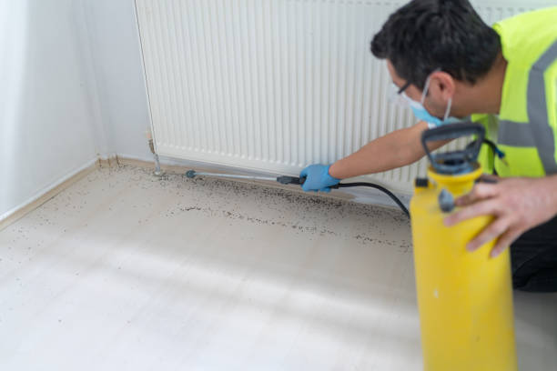 Best Pest Inspection Near Me  in Pquemine, LA