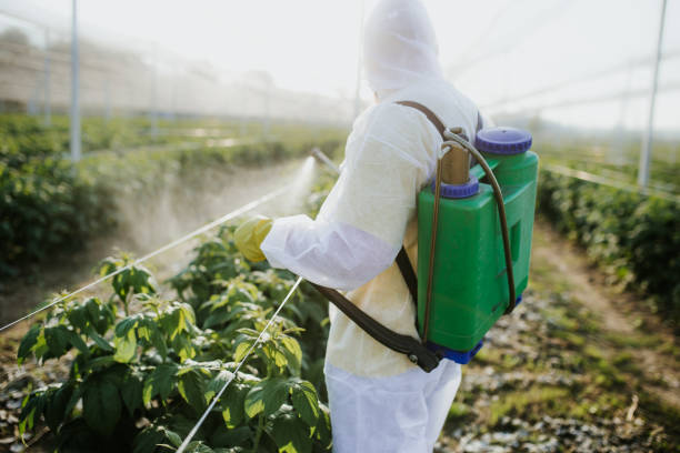 Flea Control Services in Plaquemine, LA